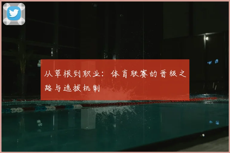 从草根到职业:体育联赛的晋级之路与选拔机制