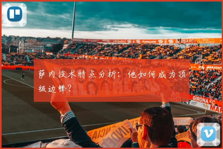 萨内技术特点分析:他如何成为顶级边锋?
