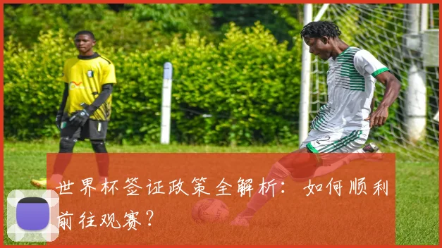 世界杯签证政策全解析:如何顺利前往观赛?