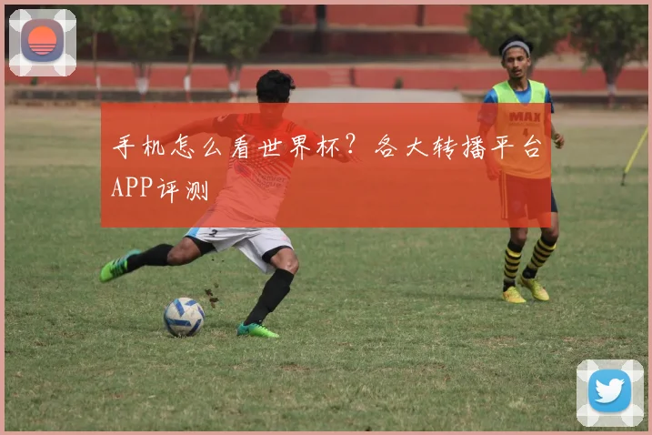 手机怎么看世界杯？各大转播平台APP评测