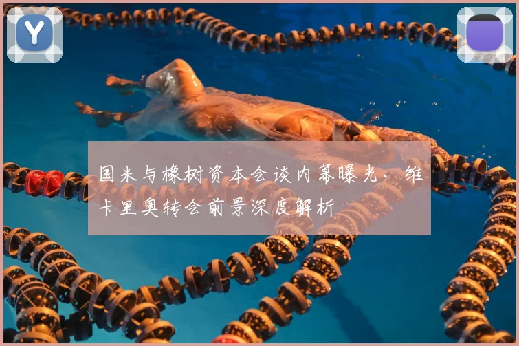 国米与橡树资本会谈内幕曝光，维卡里奥转会前景深度解析